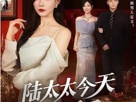 陆太太今天离婚了