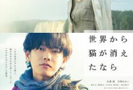 假如猫从世界上消失了