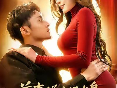 前妻嫌我没出息，我靠系统创传奇