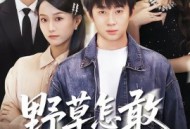 野草怎敢沐春风