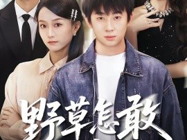 野草怎敢沐春风