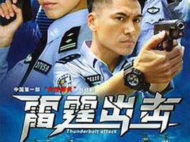 要案组雷霆出击MP4格式