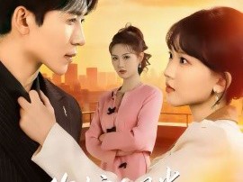 你护白月光，我掀你豪门底