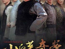 小白菜奇案MP4格式