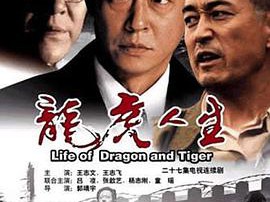 龙虎人生王志文版MP4格式