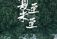 夏至未至MP4格式