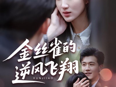 金丝雀的逆风飞翔