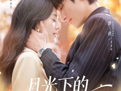 月光下的秘密契约