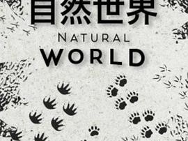 自然世界第一季