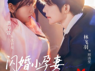 闪婚小孕妻被全家团宠