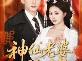 神仙老婆陪过年