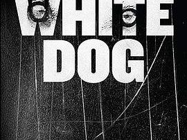 白狗1982