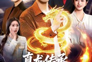 真龙传承，我为都市最强