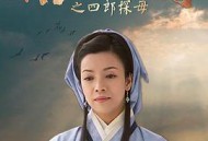 杨门女将之四郎探母