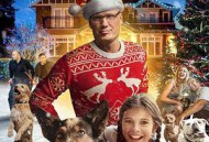 灵犬当家：圣诞节的危险