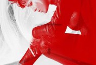 蜘蛛网中的女孩