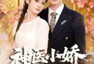 神医小娇妻下山