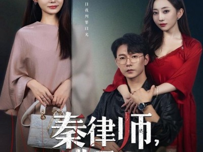 秦律师你逃不掉了