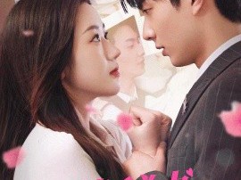 苏秘书为何那样