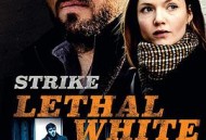 斯特莱克探案集第三季