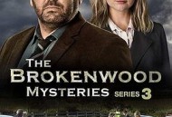 断林镇谜案第三季