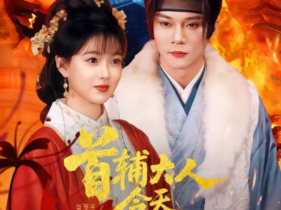 首辅大人今天追妻了吗