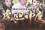 虎胆神鹰MP4格式