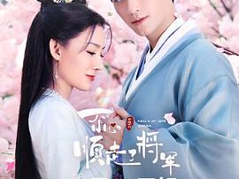 一不小心顺走了将军MP4格式