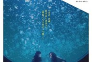 宇宙中最明亮的屋顶