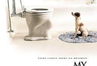 我的小狗斯齐普