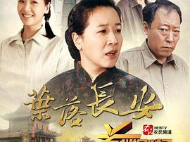 叶落长安MP4格式