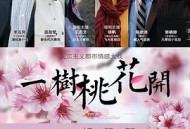 一树桃花开王志文版MP4格式