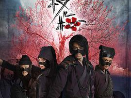 怪侠一枝梅2010MP4格式