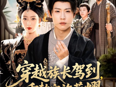 穿越族长驾到重整家族荣耀