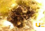 火葬场烧明星美女尸体 竟听见婴儿诡异哭声_灵异鬼话