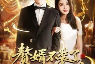 赘婿不装了，我是渡劫仙尊