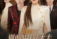 我离婚了！别再叫我陆太太，叫沈总