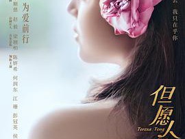 但愿人长久MP4格式