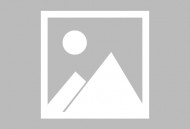 龙雀卫之噬魂蛛