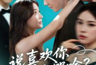 陆总太难缠说喜欢你你哭啥