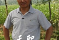 天职2012