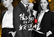 陈二狗的妖孽人生第一季MP4格式