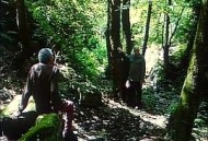 阿蒂米德的膝盖