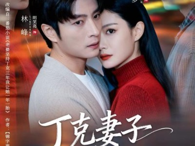 丁克妻子的秘密