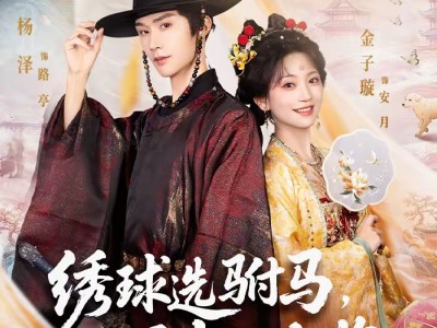 绣球选驸马，砸中小太监