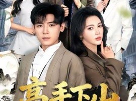 高手下山：这个保镖有点强