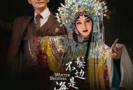 鬓边不是海棠红MP4格式