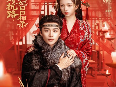 重生对抗路，王爷王妃日日相杀