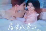虐爱成宠：陆总的新婚哑妻