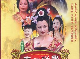 大唐歌飞MP4格式